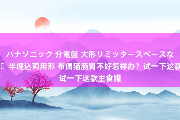 パナソニック 分電盤 大形リミッタースペースなし 露出・半埋込両用形 布偶猫肠胃不好怎样办？试一下这款主食罐