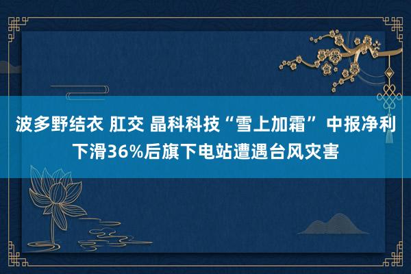 波多野结衣 肛交 晶科科技“雪上加霜” 中报净利下滑36%后旗下电站遭遇台风灾害