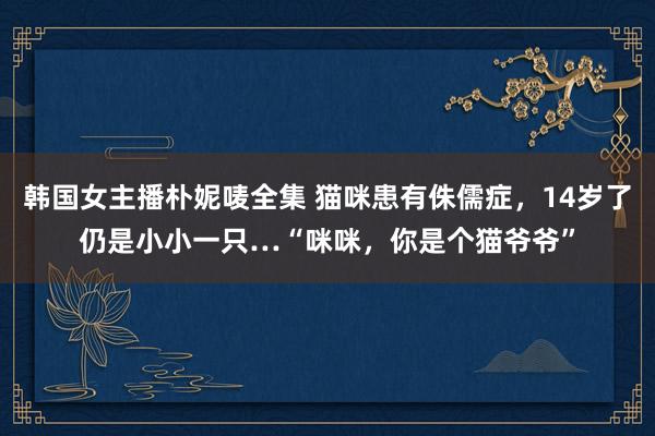 韩国女主播朴妮唛全集 猫咪患有侏儒症，14岁了仍是小小一只…“咪咪，你是个猫爷爷”