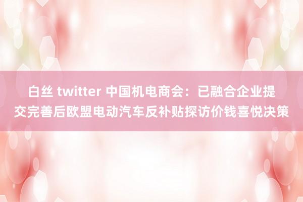 白丝 twitter 中国机电商会：已融合企业提交完善后欧盟电动汽车反补贴探访价钱喜悦决策