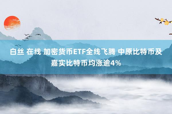 白丝 在线 加密货币ETF全线飞腾 中原比特币及嘉实比特币均涨逾4%