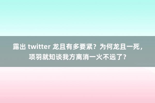 露出 twitter 龙且有多要紧？为何龙且一死，项羽就知谈我方离消一火不远了？