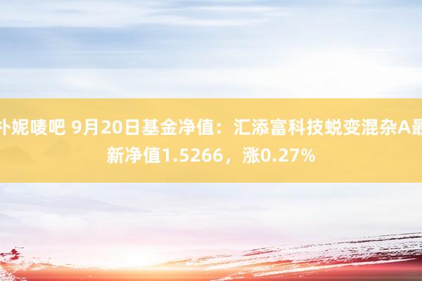 朴妮唛吧 9月20日基金净值：汇添富科技蜕变混杂A最新净值1.5266，涨0.27%