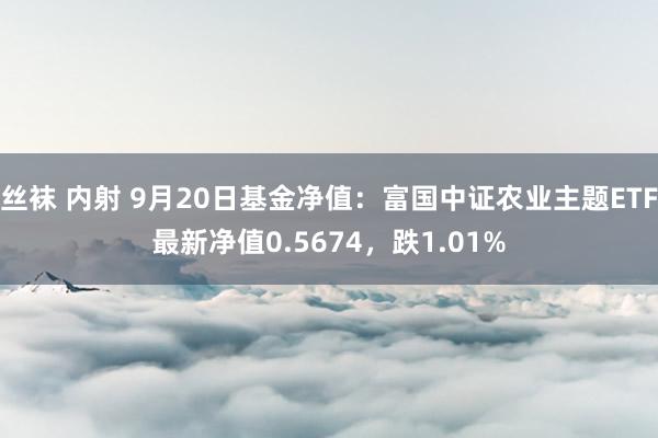 丝袜 内射 9月20日基金净值：富国中证农业主题ETF最新净值0.5674，跌1.01%