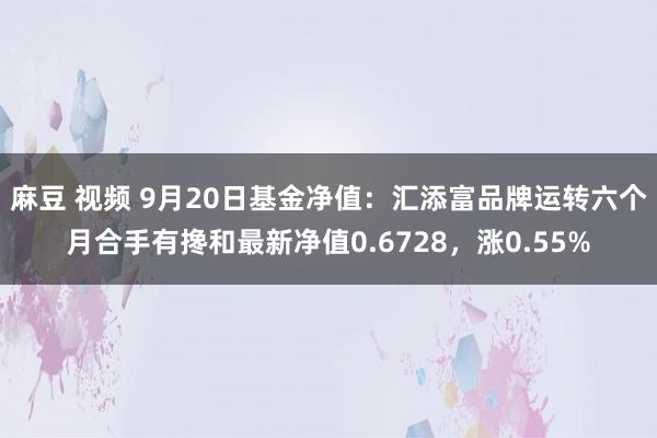 麻豆 视频 9月20日基金净值：汇添富品牌运转六个月合手有搀和最新净值0.6728，涨0.55%