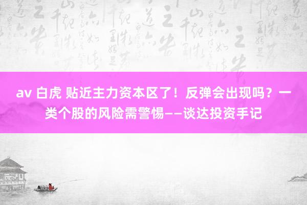 av 白虎 贴近主力资本区了！反弹会出现吗？一类个股的风险需警惕——谈达投资手记