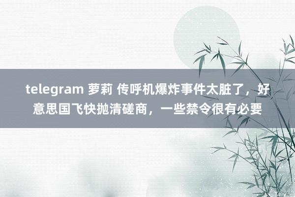 telegram 萝莉 传呼机爆炸事件太脏了，好意思国飞快抛清磋商，一些禁令很有必要