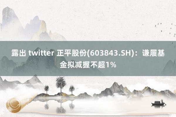 露出 twitter 正平股份(603843.SH)：谦履基金拟减握不超1%