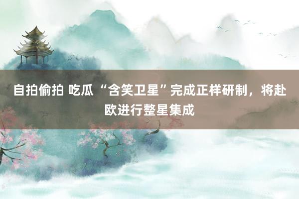 自拍偷拍 吃瓜 “含笑卫星”完成正样研制，将赴欧进行整星集成