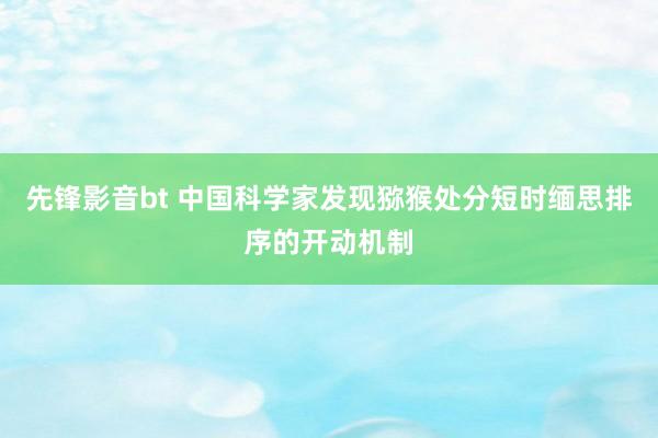 先锋影音bt 中国科学家发现猕猴处分短时缅思排序的开动机制