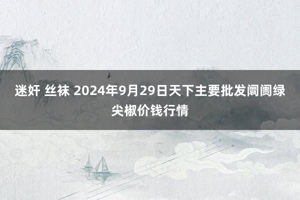 迷奸 丝袜 2024年9月29日天下主要批发阛阓绿尖椒价钱行情