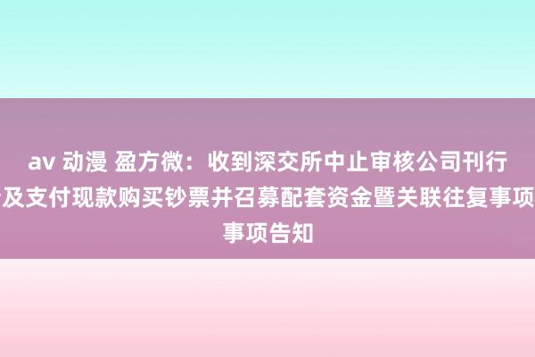 av 动漫 盈方微：收到深交所中止审核公司刊行股份及支付现款购买钞票并召募配套资金暨关联往复事项告知