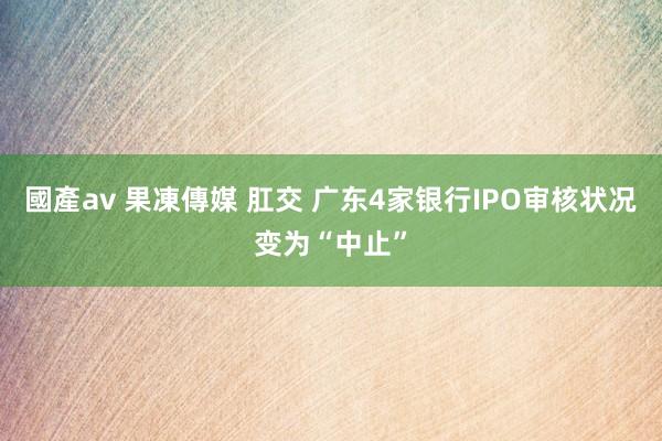 國產av 果凍傳媒 肛交 广东4家银行IPO审核状况变为“中止”