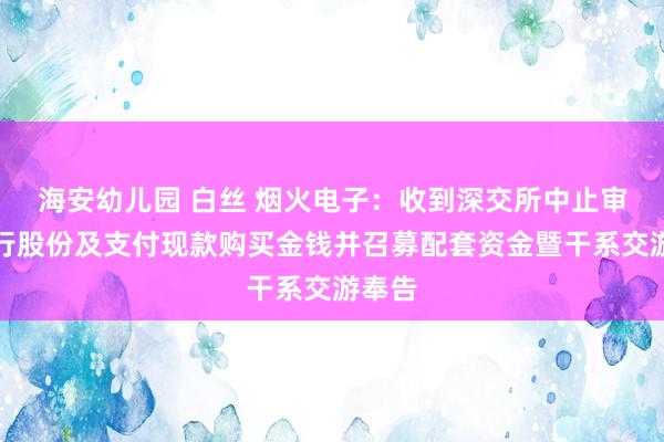 海安幼儿园 白丝 烟火电子：收到深交所中止审核刊行股份及支付现款购买金钱并召募配套资金暨干系交游奉告