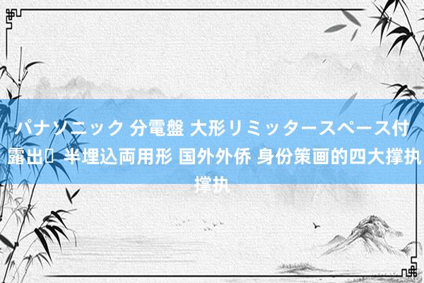 パナソニック 分電盤 大形リミッタースペース付 露出・半埋込両用形 国外外侨 身份策画的四大撑执