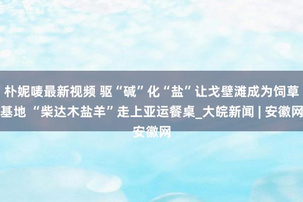 朴妮唛最新视频 驱“碱”化“盐”让戈壁滩成为饲草基地 “柴达木盐羊”走上亚运餐桌_大皖新闻 | 安徽网