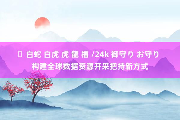 ✨白蛇 白虎 虎 龍 福 /24k 御守り お守り 构建全球数据资源开采把持新方式