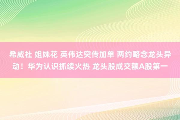 希威社 姐妹花 英伟达突传加单 两约略念龙头异动！华为认识抓续火热 龙头股成交额A股第一