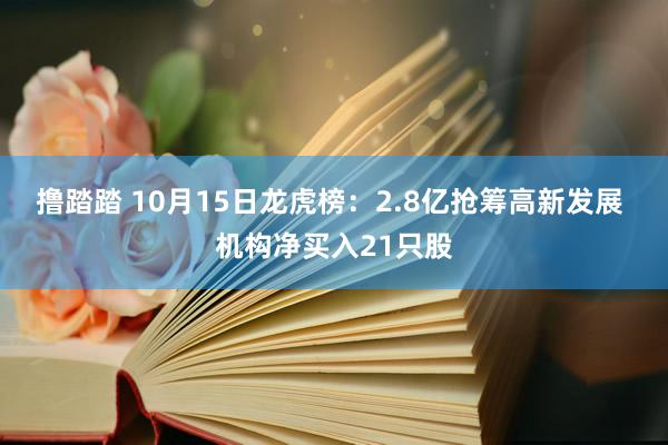 撸踏踏 10月15日龙虎榜：2.8亿抢筹高新发展 机构净买入21只股