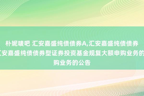 朴妮唛吧 汇安嘉盛纯债债券A，汇安嘉盛纯债债券C: 汇安嘉盛纯债债券型证券投资基金规复大额申购业务的公告