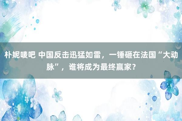 朴妮唛吧 中国反击迅猛如雷，一锤砸在法国“大动脉”，谁将成为最终赢家？