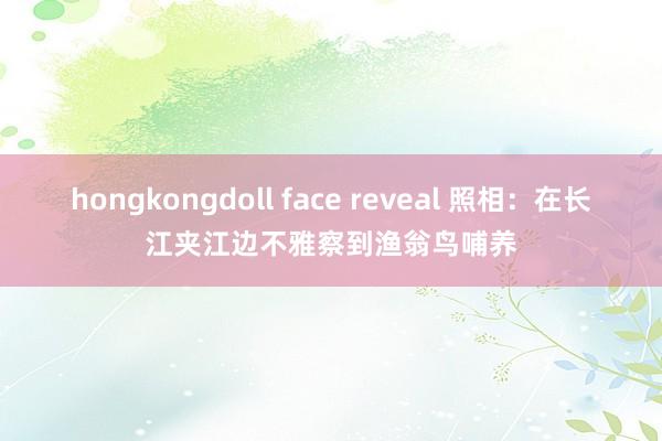 hongkongdoll face reveal 照相：在长江夹江边不雅察到渔翁鸟哺养