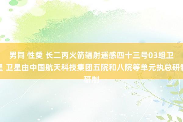 男同 性愛 长二丙火箭辐射遥感四十三号03组卫星 卫星由中国航天科技集团五院和八院等单元执总研制