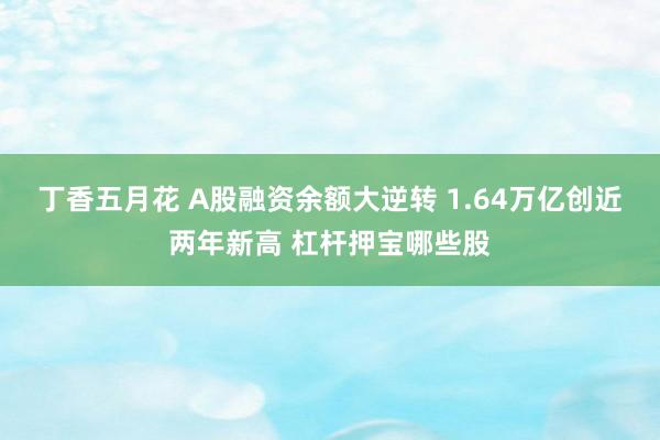 丁香五月花 A股融资余额大逆转 1.64万亿创近两年新高 杠杆押宝哪些股