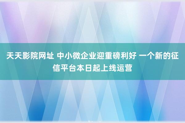 天天影院网址 中小微企业迎重磅利好 一个新的征信平台本日起上线运营