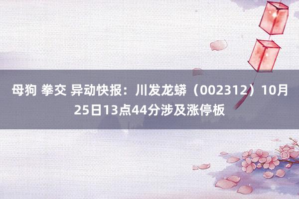 母狗 拳交 异动快报：川发龙蟒（002312）10月25日13点44分涉及涨停板