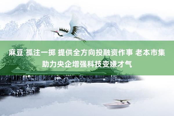 麻豆 孤注一掷 提供全方向投融资作事 老本市集助力央企增强科技变嫌才气