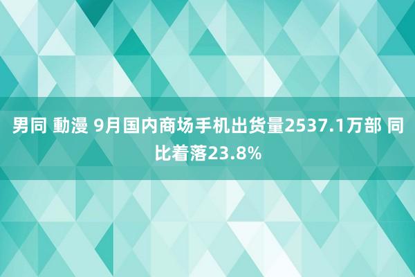 男同 動漫 9月国内商场手机出货量2537.1万部 同比着落23.8%