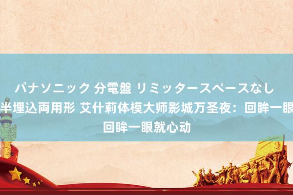 パナソニック 分電盤 リミッタースペースなし 露出・半埋込両用形 艾什莉体模大师影城万圣夜：回眸一眼就心动