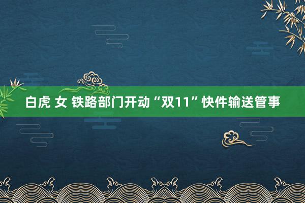 白虎 女 铁路部门开动“双11”快件输送管事