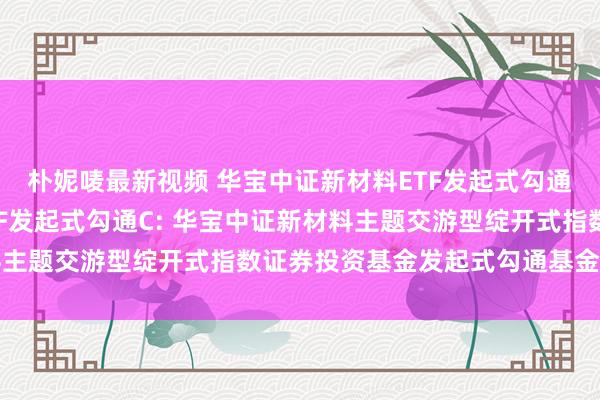 朴妮唛最新视频 华宝中证新材料ETF发起式勾通A，华宝中证新材料ETF发起式勾通C: 华宝中证新材料主题交游型绽开式指数证券投资基金发起式勾通基金算帐叙述