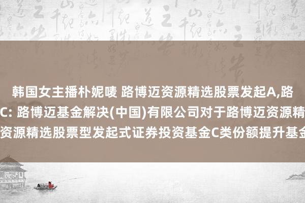 韩国女主播朴妮唛 路博迈资源精选股票发起A,路博迈资源精选股票发起C: 路博迈基金解决(中国)有限公司对于路博迈资源精选股票型发起式证券投资基金C类份额提升基金份额净值精度的公告